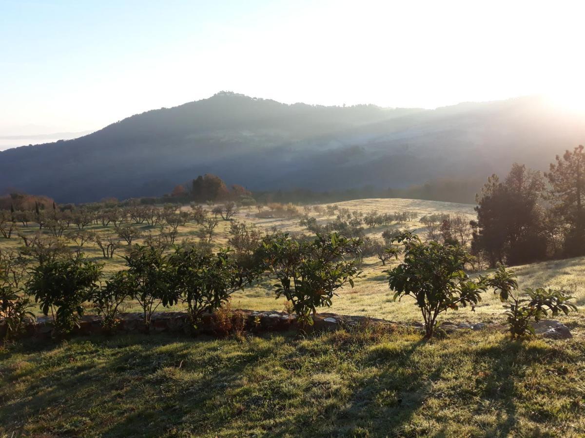 Agriturismo Aia Leccioni Micciano Bagian luar foto