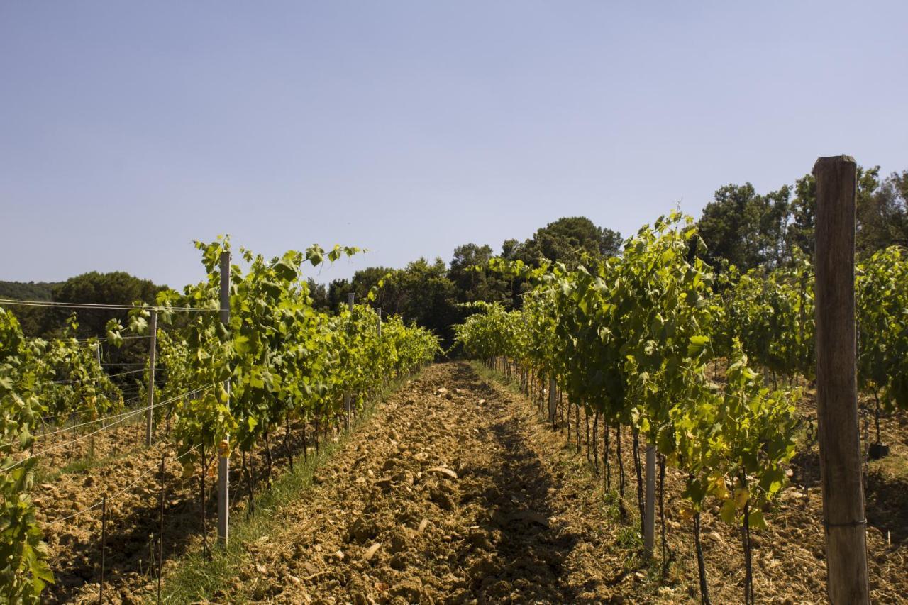 Agriturismo Aia Leccioni Micciano Bagian luar foto