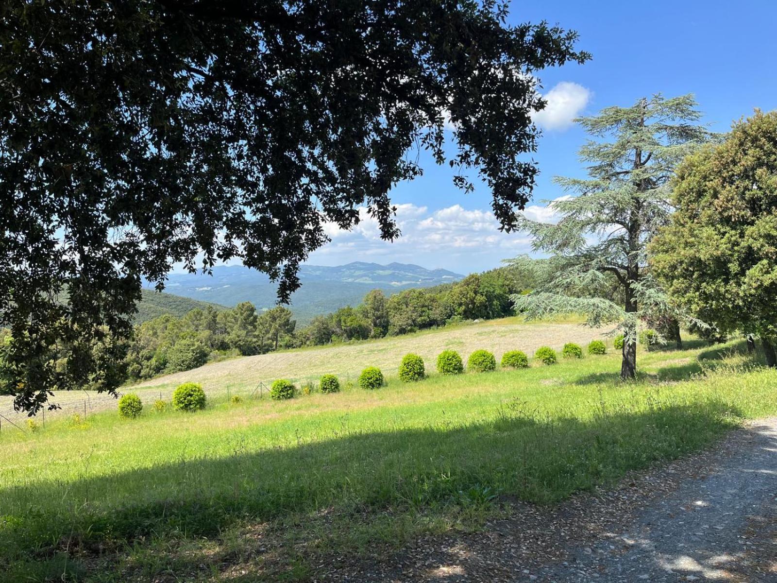 Agriturismo Aia Leccioni Micciano Bagian luar foto